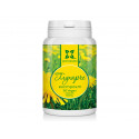 Dandelion - extract, Panacea, 90 capsules