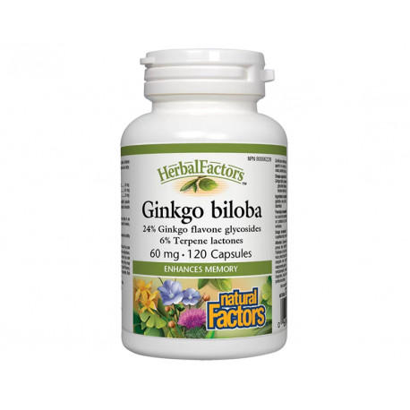 Ginkgo Biloba, enhances memory, Natural Factors, 120 capsules