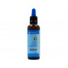 Energy, Bach Flower Remedies, Bioherba, 50 ml