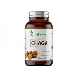 Chaga - extract, natural biostimulator, Zdravnitza, 60 capsules