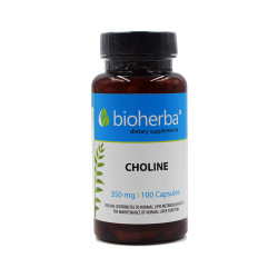 Choline, Bioherba, 100 capsules