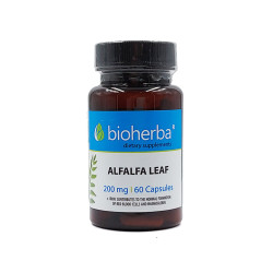 Alfalfa Leaf, Bioherba, 60 capsules