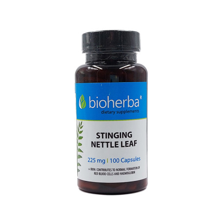 Stinging Nettle Leaf, Bioherba, 100 capsules