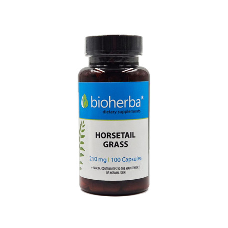 Horsetail Grass, Bioherba, 100 capsules