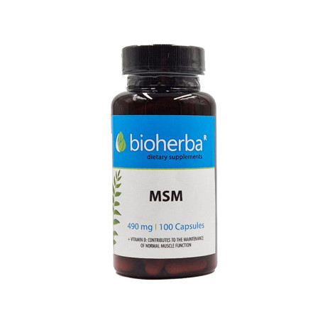 MSM (Methylsulfonylmethane), Bioherba, 100 capsules