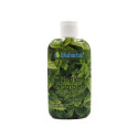 Nettle Shampoo, Bioherba, 200 ml