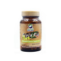 Lipid Fit, Organic Wellness, 90 capsules