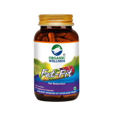 Fat-Fit, fat reduction supplement, Organic Wellness, 90 capsules