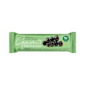 Vegan Protein Bar - Blackcurrant, Gam's, 40 g