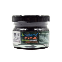 Himalayan Shilajit with Ashwagandha, Bioherba, 20 g.