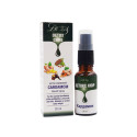 Detoxcure, detox support, Dr Zol, 20 ml