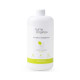 Floor Cleaner with Soapberries and Camellia, Gama Organica, 1 liter