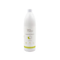 Dishwasher Liquid 2 in 1, Gama Organica, 1 liter