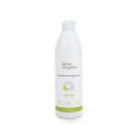 Dish Soap - Mint and Lemon, Gama Organica, 500 ml