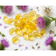 Milk Thistle oil, cold pressed, Zdravnitza, 60 capsules