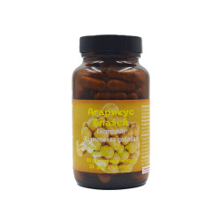Agaricus Blazei - extract, Super Hrani, 90 capsules