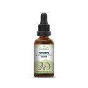 Uroherb - Tincture for Kidney and Urinary Tract Support, Herbalkan, 50 ml