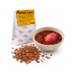 Madder (Rubia tinctorum L.) - dried root, Bilkaria, 25 g