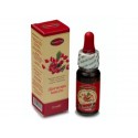 Rosehip oil, beautiful and healthy skin, 10 ml