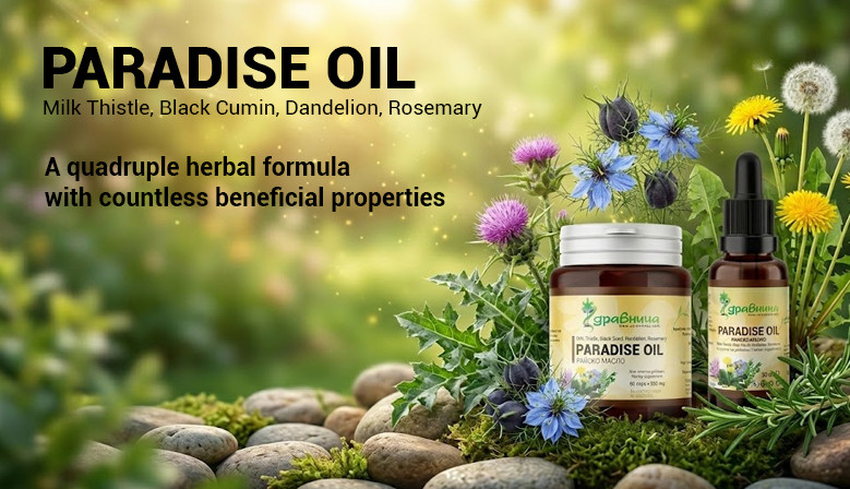 Paradise oil - quadruple herbal formula of Zdravnitza