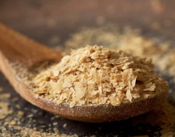 Why is brewer's yeast useful for the whole body?