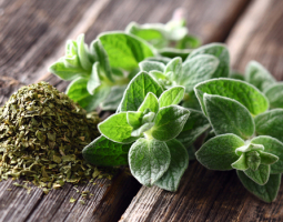 Риган - здравословни ползи и приложение