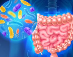 Какво представляват пробиотиците?