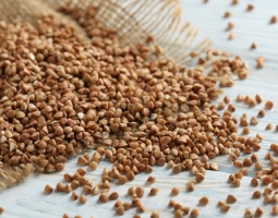 Buckwheat to strengthen the nerves and a selection of recipes