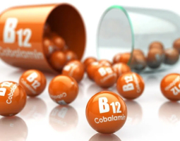 Vitamin B12: Why Is It So Important for the Body?