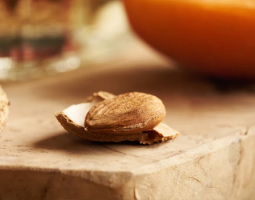 Amygdalin (Vitamin B17): Between Promise and Risk - What Science Really Says