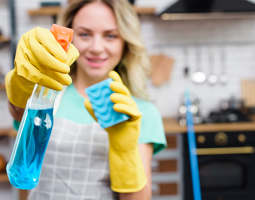 New at Zdravnitza: Natural Home Care for a Healthier Home