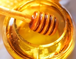 Useful properties of Bulgarian honey (17 folk recipes)