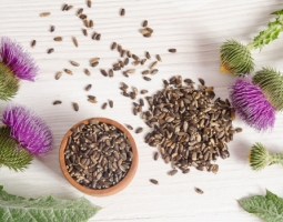 Наистина ли белият трън е полезен за черния дроб?